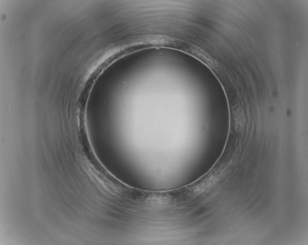 X0000060770350200511241759