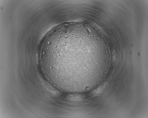 X0000060770351200511241759