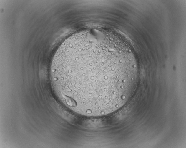 X0000060770353200511241759