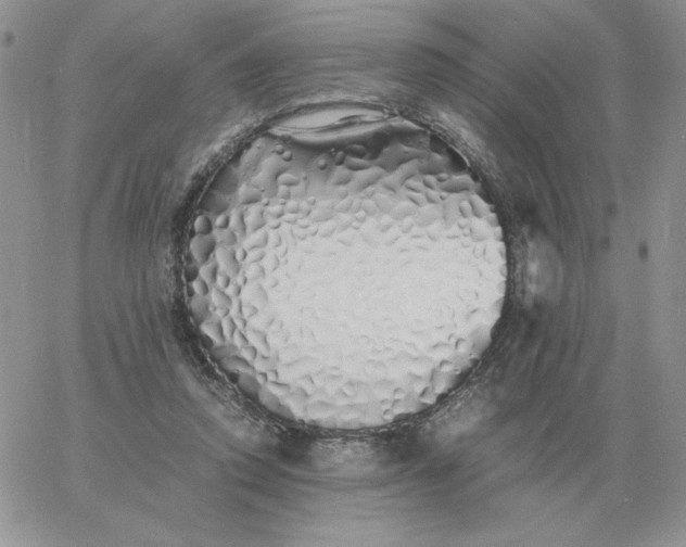 X0000060770354200511241759