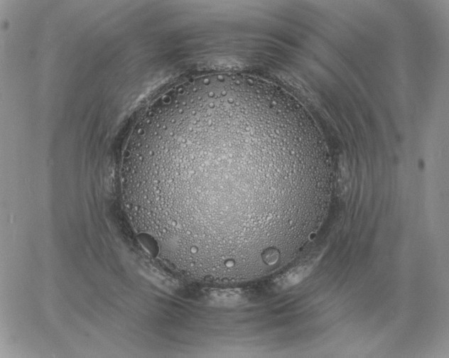 X0000060770355200511241759