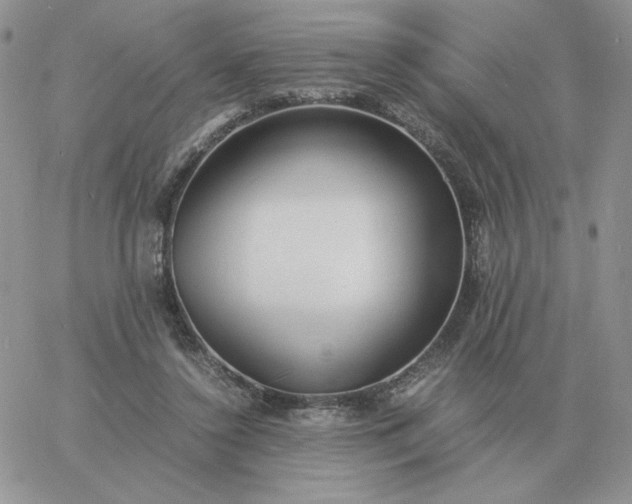 X0000060770356200511241759