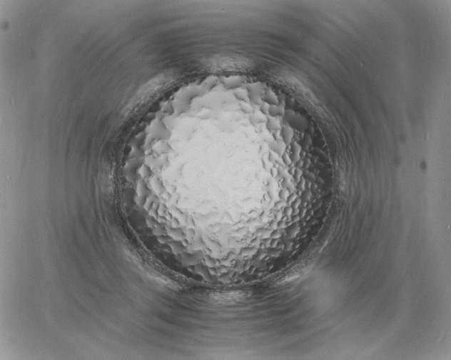 X0000060770357200511241759