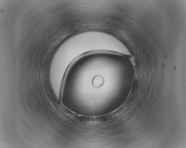 X0000060770360200511241759