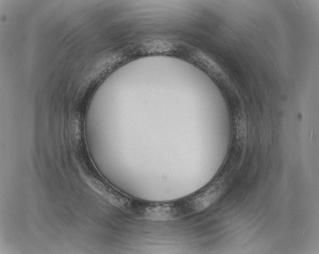 X0000060770362200511241759