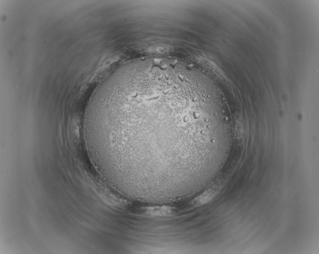 X0000060770363200511241759