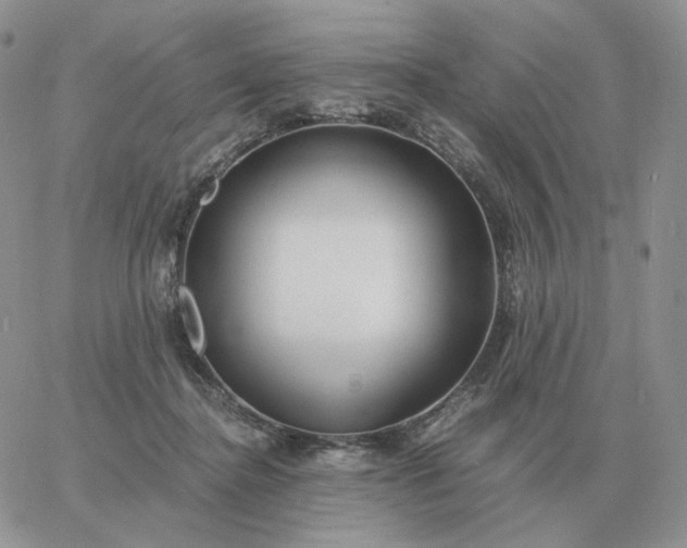 X0000060770364200511241759