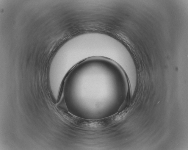 X0000060770365200511241759