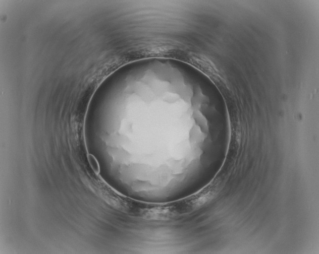 X0000060770366200511241759