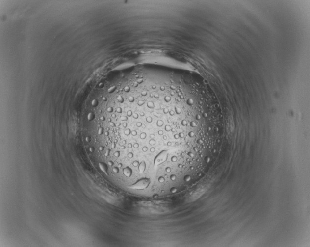 X0000060770367200511241759