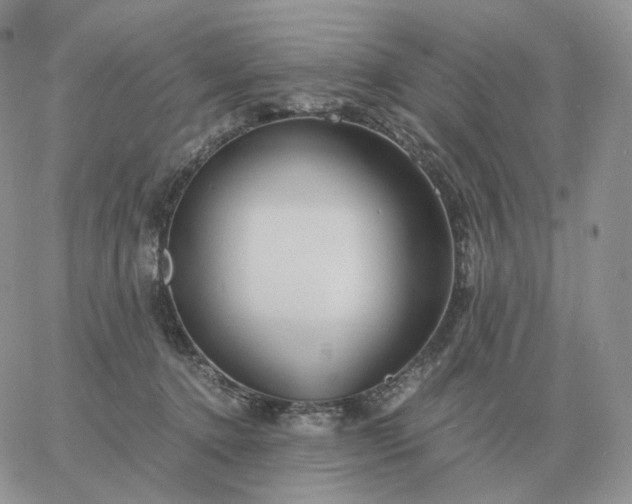 X0000060770368200511241759