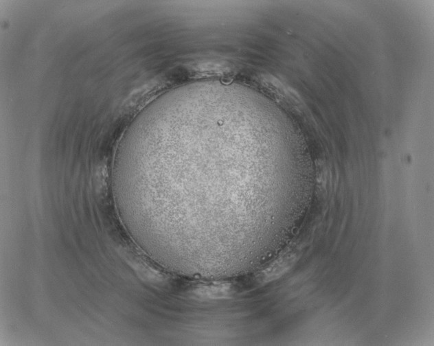 X0000060770369200511241759