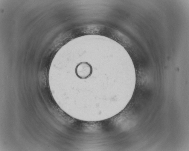 X0000060770370200511241759