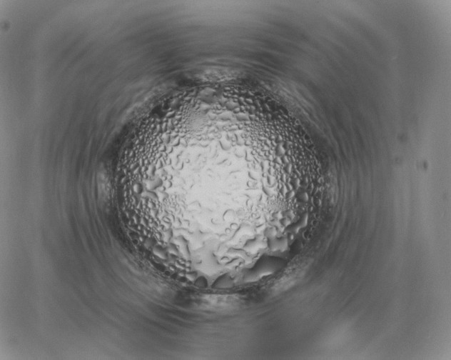 X0000060770371200511241800