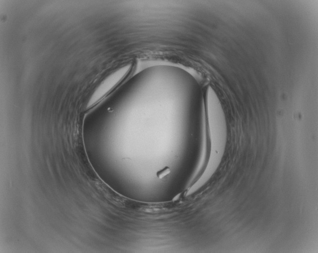 X0000060770372200511241800