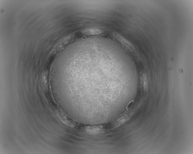 X0000060770373200511241800