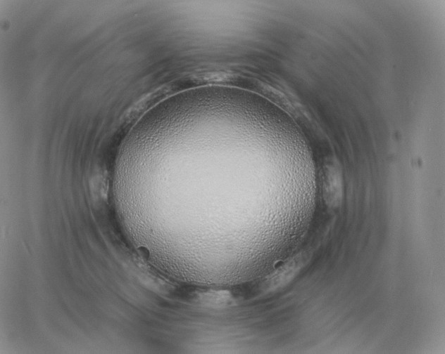 X0000060770374200511241800