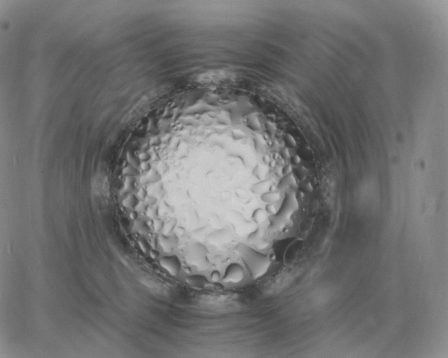 X0000060770375200511241800