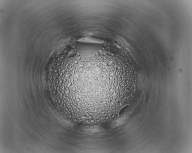 X0000060770377200511241800