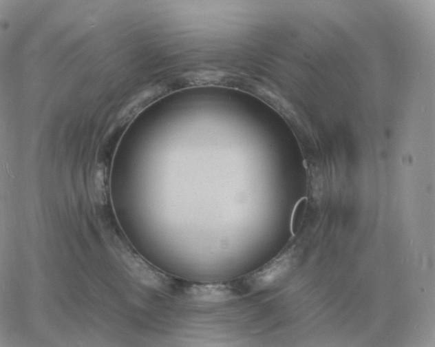 X0000060770378200511241800