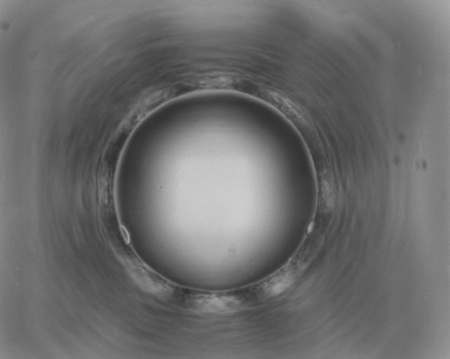 X0000060770379200511241800