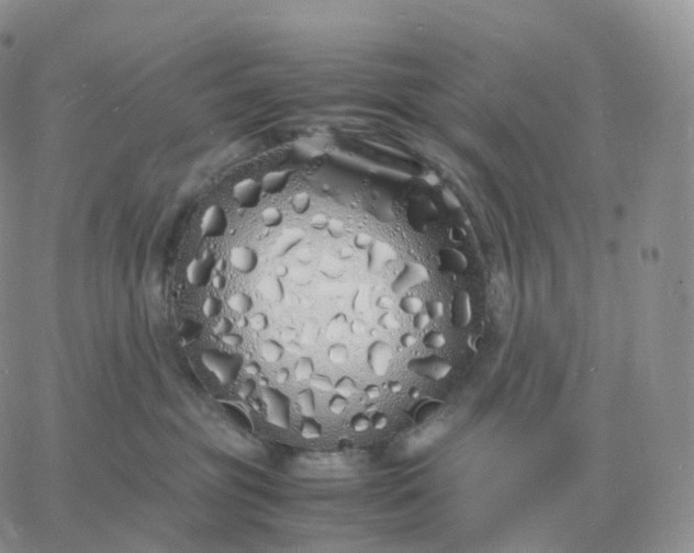 X0000060770381200511241800