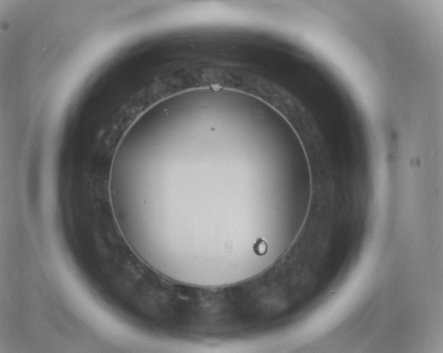 X0000060770382200511241800