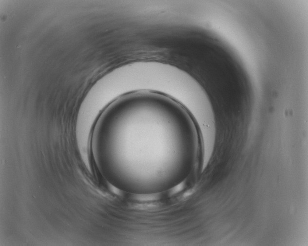 X0000060770383200511241800