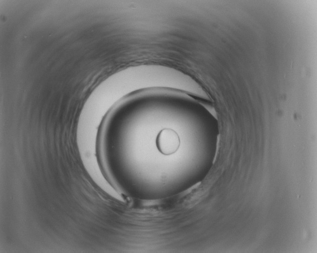 X0000060770384200511241800