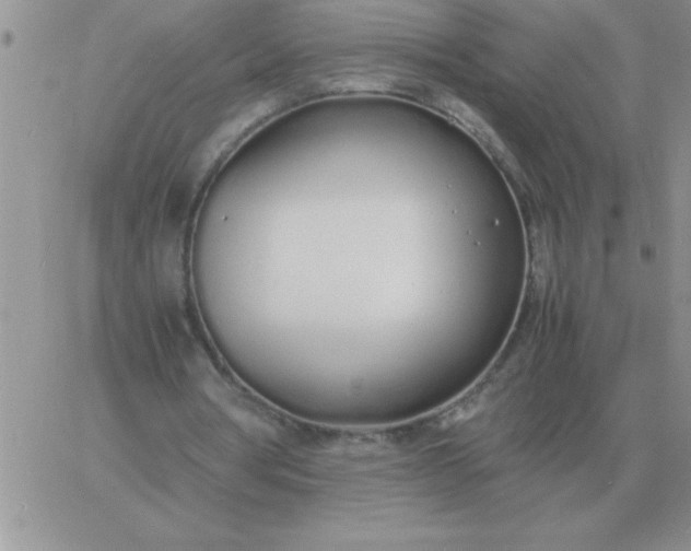 X0000060770386200511241759