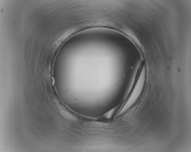 X0000060770389200511241759