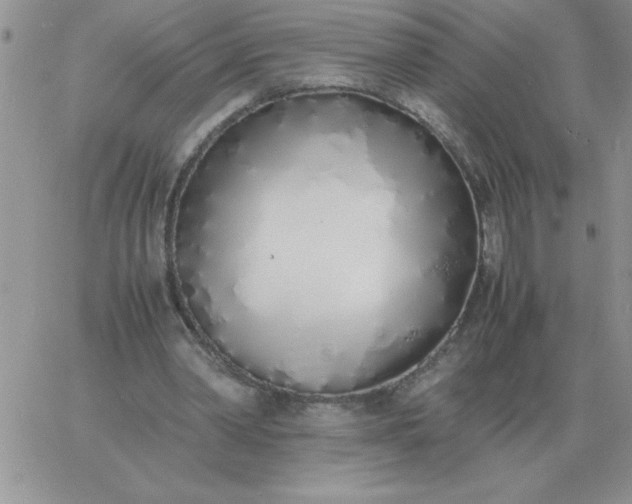 X0000060770390200511241759