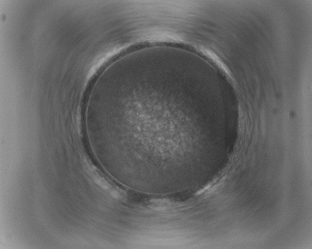 X0000060770391200511241759