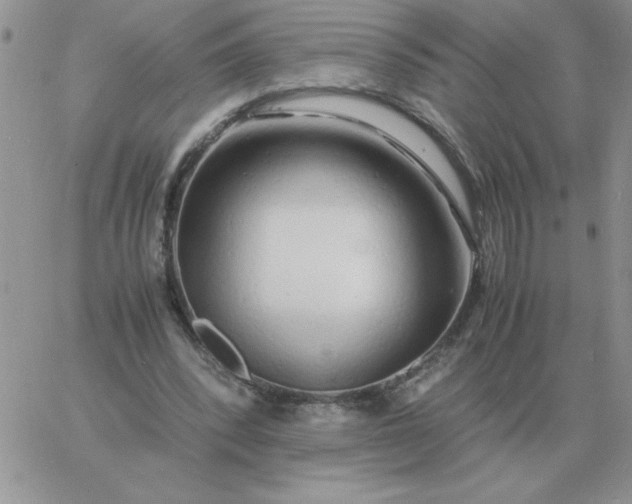 X0000060770392200511241759