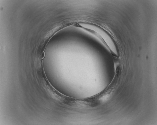 X0000060770393200511241759