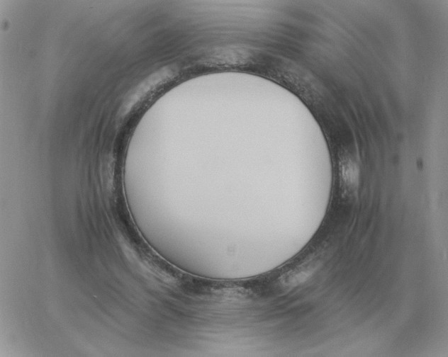 X0000060770396200511241759