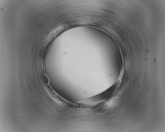 X0000060770397200511241759