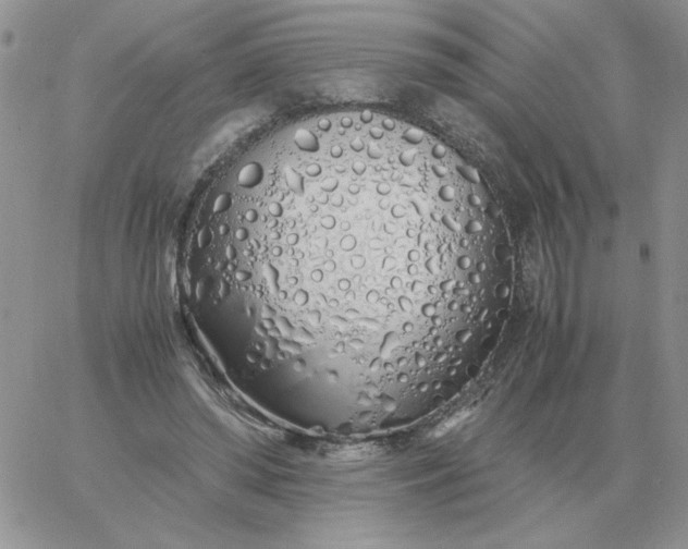 X0000060770398200511241759