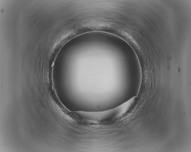 X0000060770399200511241759