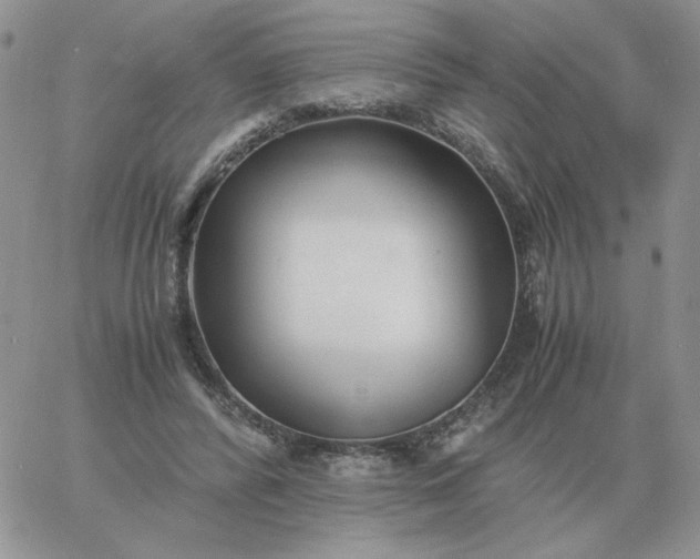 X0000060770400200511241759