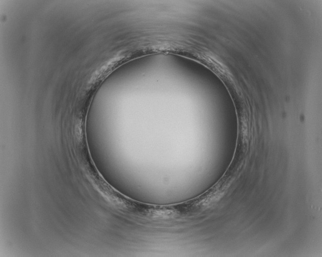 X0000060770401200511241759