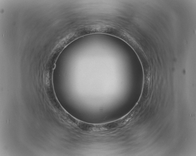 X0000060770403200511241759