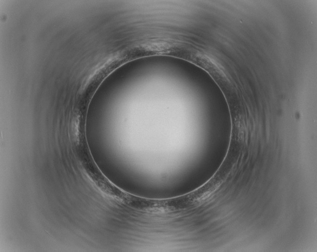 X0000060770404200511241759