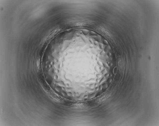 X0000060770406200511241759