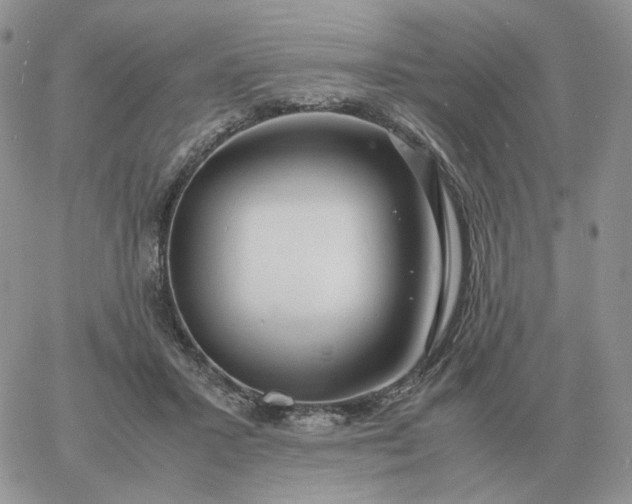 X0000060770407200511241759