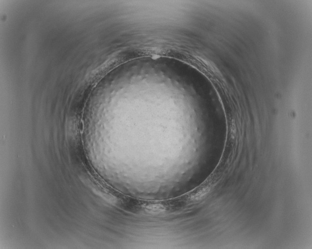 X0000060770409200511241759