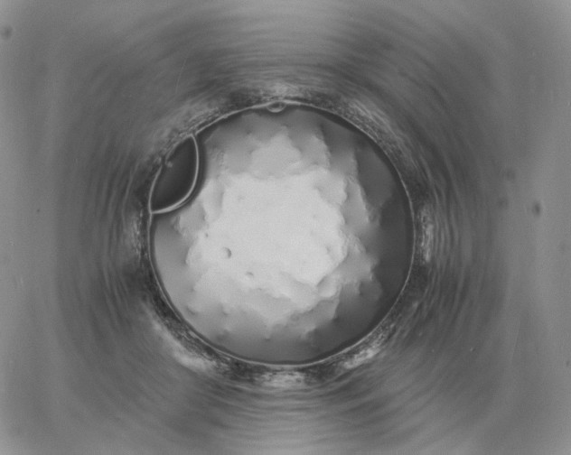 X0000060770410200511241759