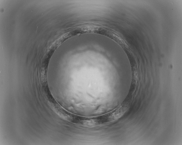 X0000060770411200511241759