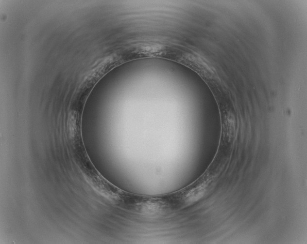 X0000060770412200511241759