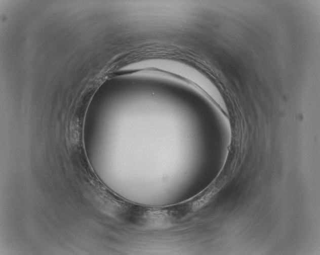 X0000060770413200511241758